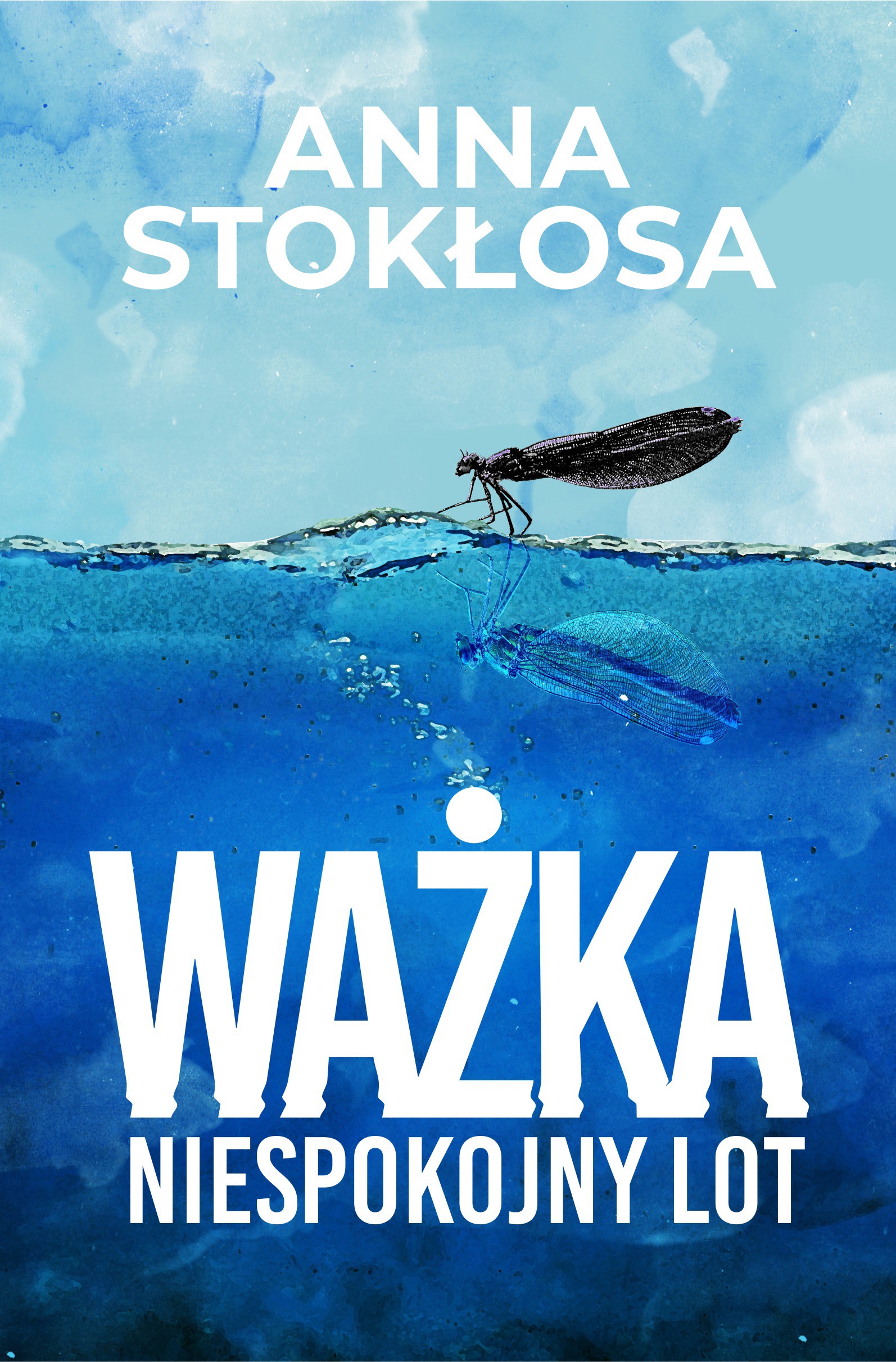 Okładka:Ważka. Niespokojny lot 