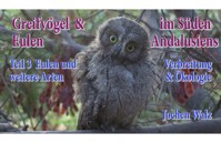 Greifvögel und Eulen im Süden Andalusiens Teil 3 Eulen und weitere Arten - Jochen Walz - ebook