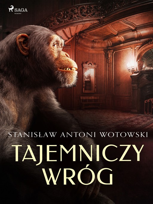 Okładka książki Tajemniczy wróg