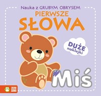 Nauka z grubym obrysem Pierwsze słowa -  - książka