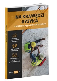 Na krawędzi ryzyka - studium wypadków przy pracy -  - książka