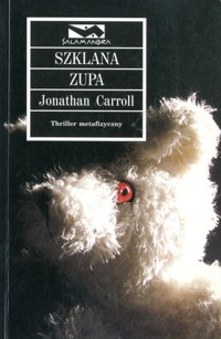 Szklana zupa - Jonathan Carroll - ebook