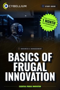 Basics of Frugal Innovation - Cybellium - ebook