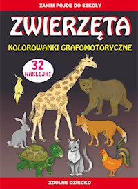 Zwierzęta Kolorowanki grafomotoryczne - Beata Guzowska, Zakierska Tina - książka