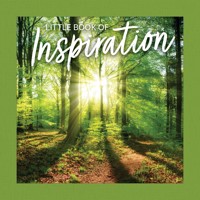 Little Book of Inspiration - Grace Peterson - ebook