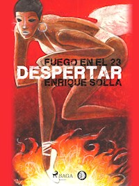 Fuego en el 23: Despertar - Enrique Solla - ebook