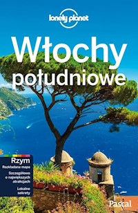 Włochy Południowe Lonely Planet -  - książka