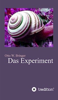 Das Experiment - otto w bringer - ebook
