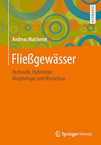 Fließgewässer - Andreas Malcherek - ebook