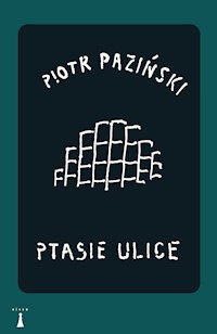 Ptasie ulice - Piotr Paziński - ebook + książka