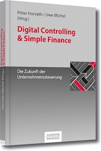 Digital Controlling & Simple Finance -  - ebook
