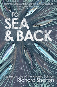 To Sea and Back - Richard Shelton - ebook