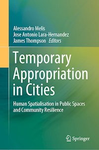 Temporary Appropriation in Cities -  - ebook