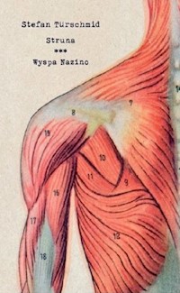 Struna Wyspa Nazino - Stefan Türschmid - książka