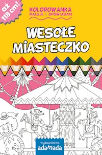 Wesołe miasteczko - Elżbieta Pałasz - książka
