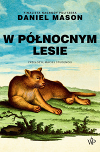 W północnym lesie - Daniel Mason - książka