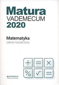 Matura Matematyka Vademecum 2020 Zakres rozszerzony - Gałązka Kinga - książka