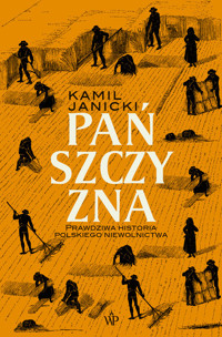 Pańszczyzna - Kamil Janicki - książka