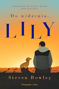 Do widzenia, Lily - Rowley Steven - ebook + audiobook + książka
