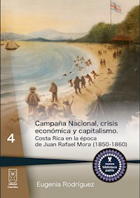 Campaña Nacional, crisis económica y capitalismo - Eugenia Rodríguez - ebook