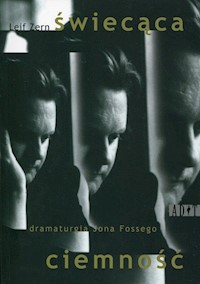 Świecąca ciemność - Zern Leif - książka