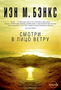 Смотри в лицо ветру - Иэн Мензис Бэнкс - ebook