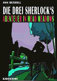Die drei Sherlock's - Ann Bexhill - ebook