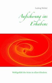 Aufschwung ins Erhabene - Ludwig Weibel - ebook