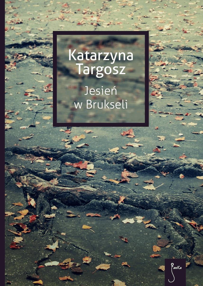 Jesień w Brukseli