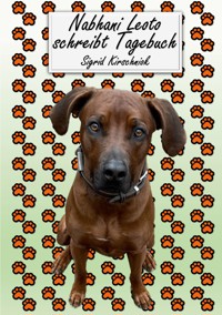Nabhani Leoto schreibt Tagebuch - Sigrid Kirschniok - ebook