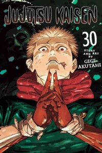 Jujutsu Kaisen, Vol. 30 - Gege Akutami - książka