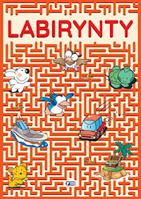 Labirynty -  - książka