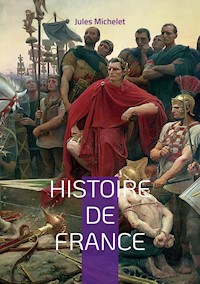 Histoire de France - Michelet Jules - ebook