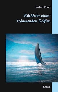 Rückkehr eines träumenden Delfins - Sandro Hübner - ebook