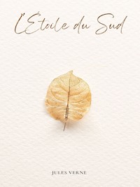 L'Étoile du Sud - Jules Verne - ebook