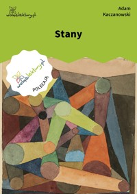 Stany - Kaczanowski Adam - ebook