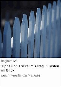 Tipps und Tricks im Alltag / Kosten im Blick - null hagbard123 - ebook