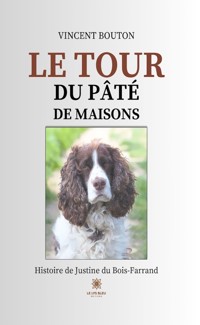 Le tour du pâté de maisons - Vincent Bouton - ebook