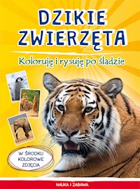 Dzikie zwierzęta Koloruję i rysuję po śladzie - Myślak Monika - książka
