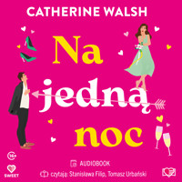 Na jedną noc - Walsh Catherine - ebook + audiobook + książka