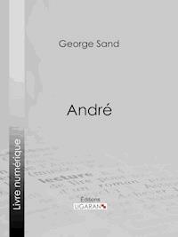 André - Ligaran - ebook