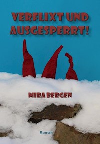 Verflixt und ausgesperrt! - Mira Bergen - ebook