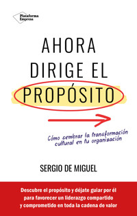 Ahora dirige el propósito - Sergio de Miguel - ebook