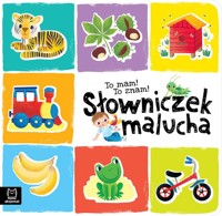 To mam To znam Słowniczek malucha - Kajdana Sylwia - książka