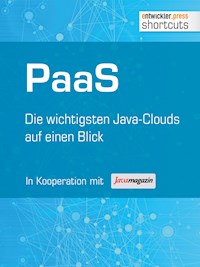 PaaS - Die wichtigsten Java Clouds auf einen Blick - Bernhard Löwenstein - ebook