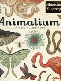 Animalium - Broom Jenny - książka
