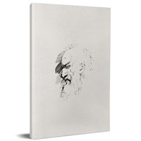 Sztukmistrz Norwid-rysunki -  - książka