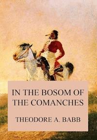 In the Bosom of the Comanches - Theodore Adolphus Babb - ebook