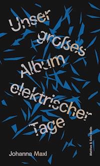 Unser großes Album elektrischer Tage - Johanna Maxl - ebook