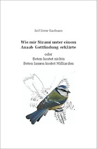 Wie mir Nîzamî unter einem Anaab Gottfindung erklärte - Rolf Dieter Kaufmann - ebook